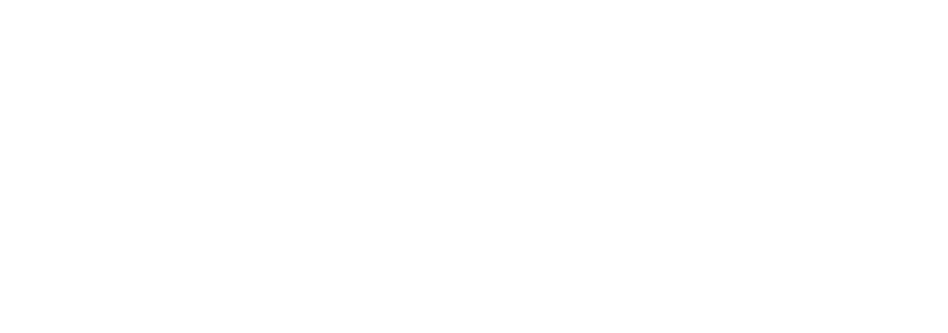 Bolt Arena Logo White
