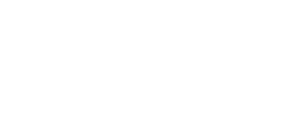brand-boltplus-logo-03