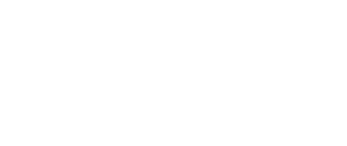 brand-boltx-logo-03