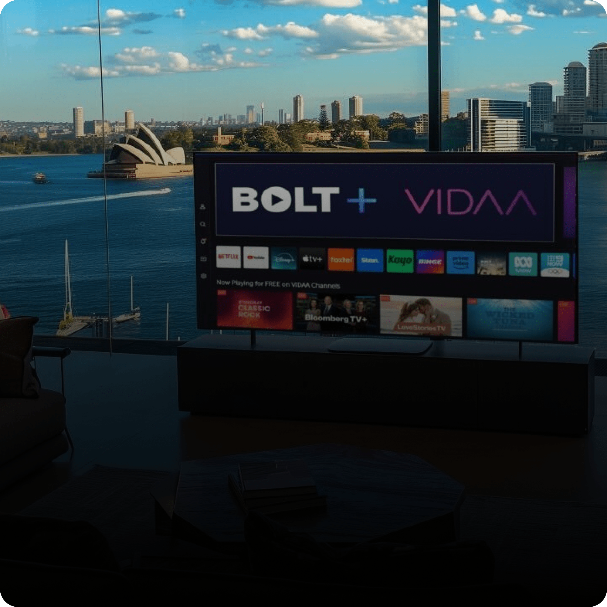 VIDA